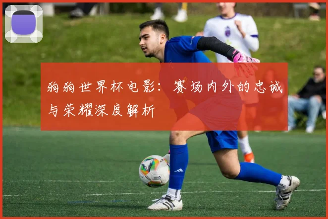 狗狗世界杯电影：赛场内外的忠诚与荣耀深度解析