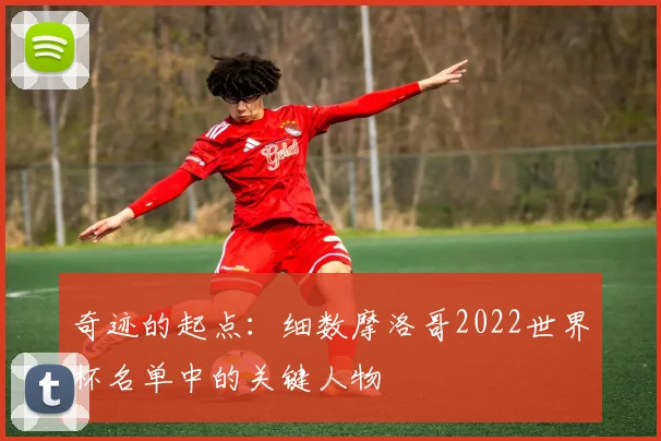 奇迹的起点:细数摩洛哥2022世界杯名单中的关键人物