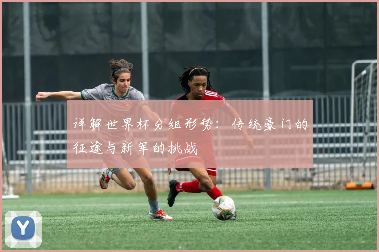 详解世界杯分组形势：传统豪门的征途与新军的挑战