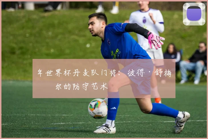 年世界杯丹麦队门将:彼得·舒梅切尔的防守艺术