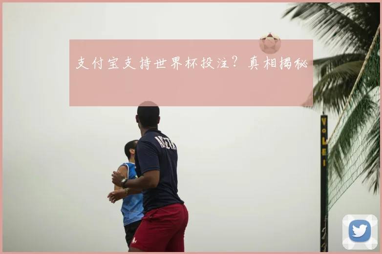 支付宝支持世界杯投注?真相揭秘
