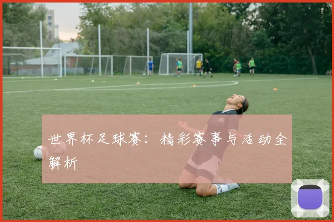 世界杯足球赛：精彩赛事与活动全解析