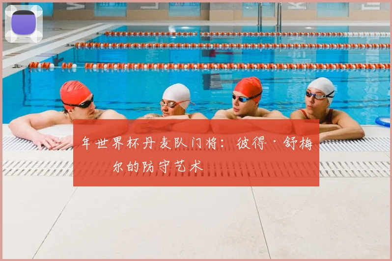 年世界杯丹麦队门将:彼得·舒梅切尔的防守艺术
